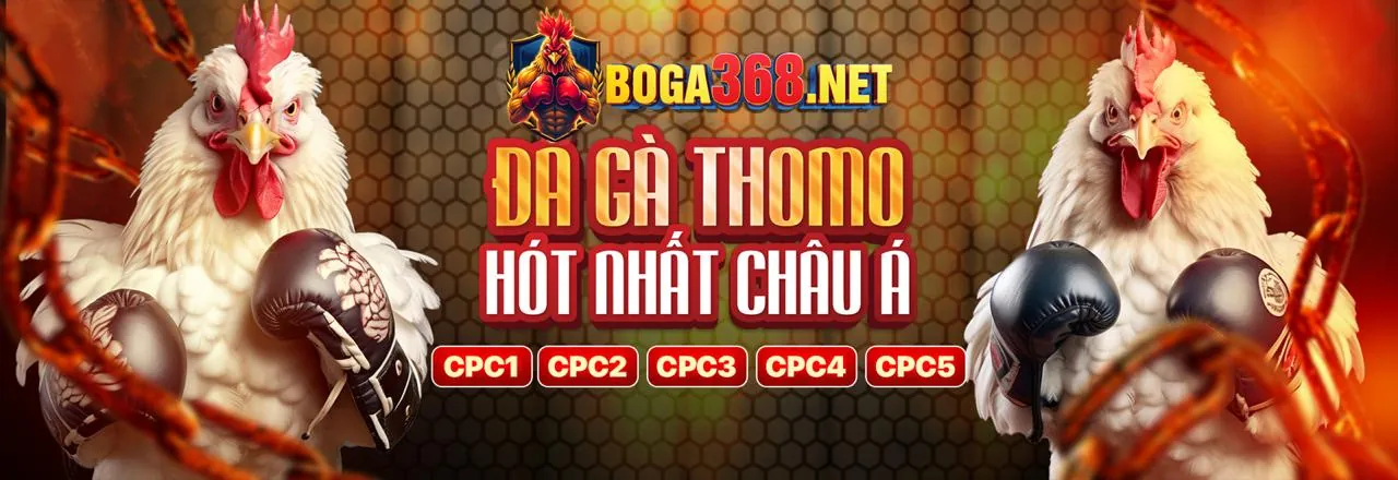 Chương Trình VIP m88keo link mới
